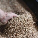 ЄС з 1 липня запроваджує мита на агропродукцію та добрива з рф та Білорусі